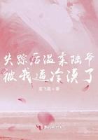 失踪+失踪之后